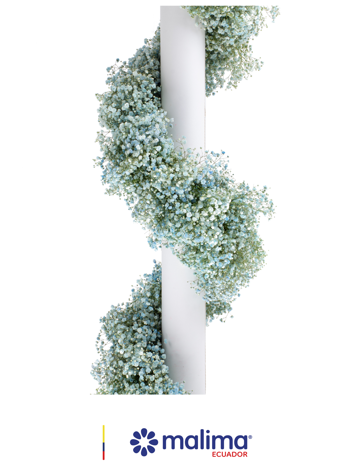 GARLAND LIGHT BLUE