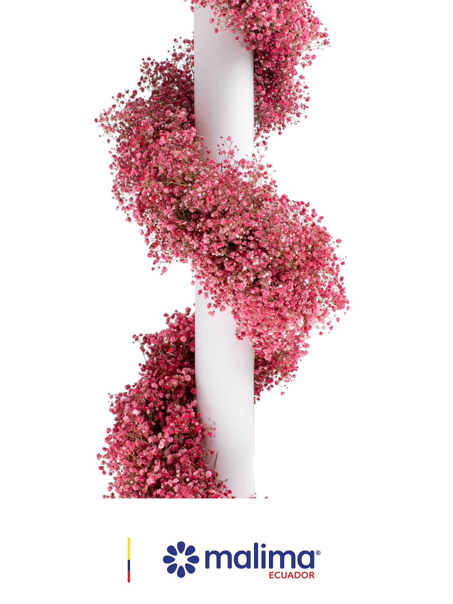 GARLAND RED