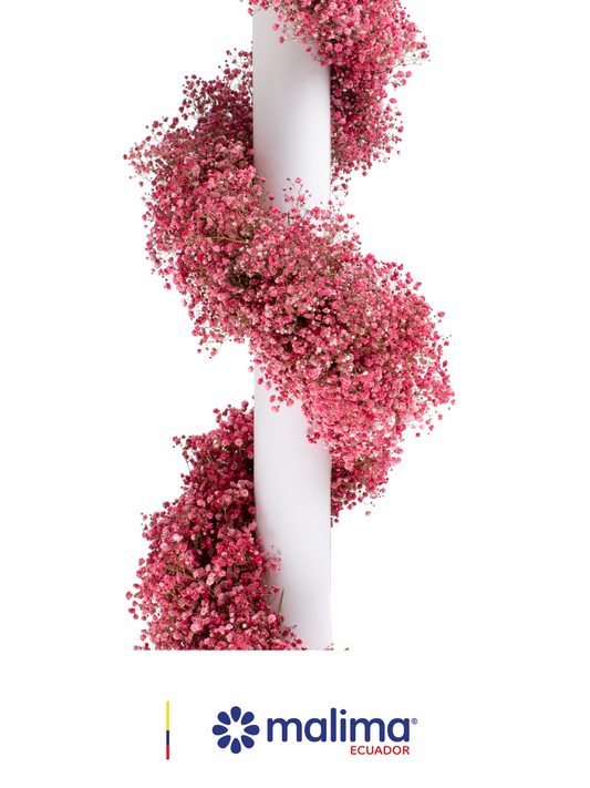 GARLAND RED
