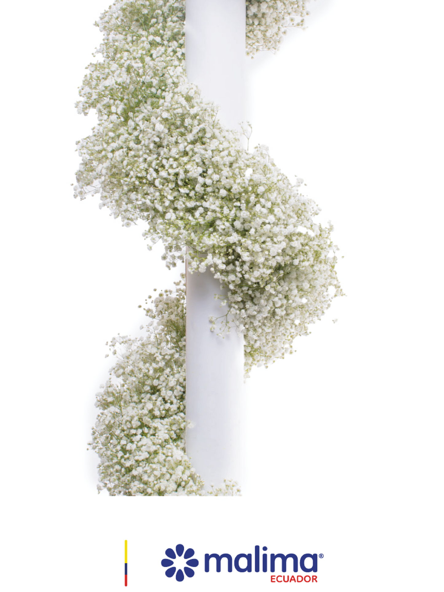 GARLAND WHITE