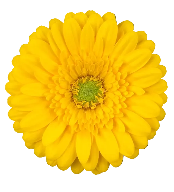 ASTRON