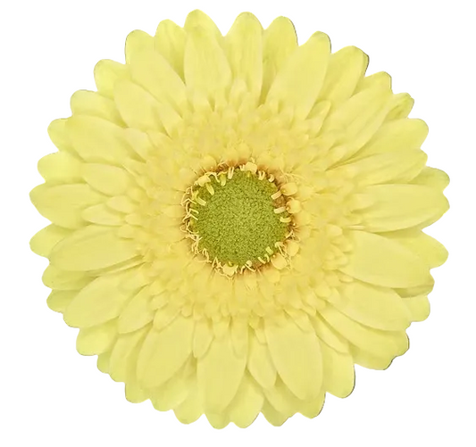 LEMON LIME